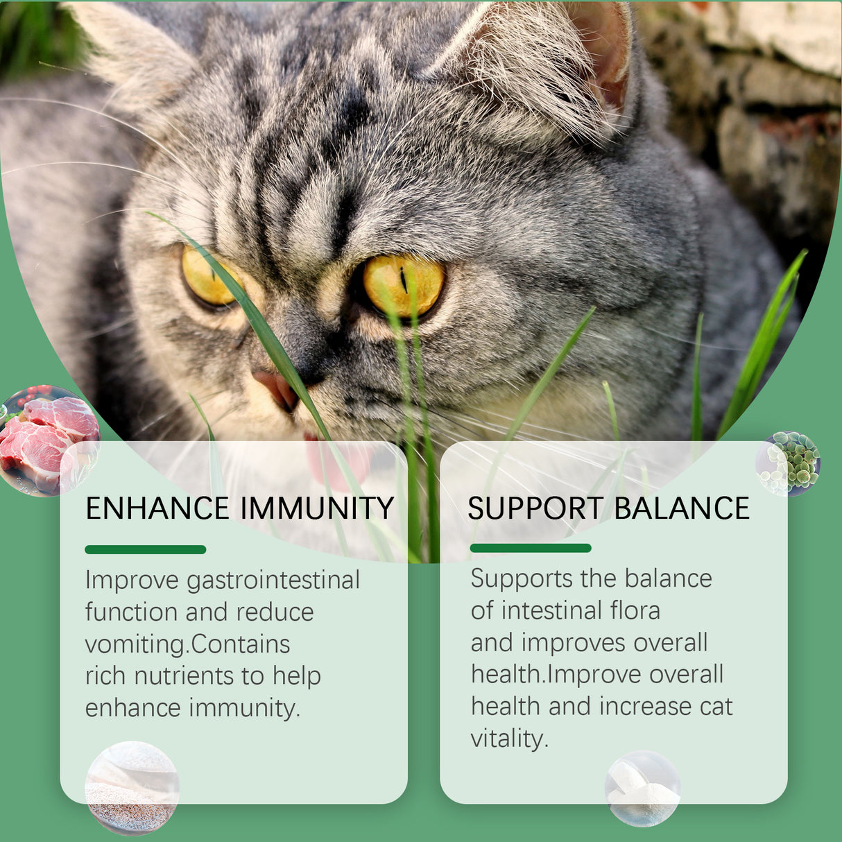 Cat Grass Tablets For Healthy Pets For Cats And Dogs To Absorb Nutrients Rich In Dietary Fiber Tablets - V.I.P Digital Presence