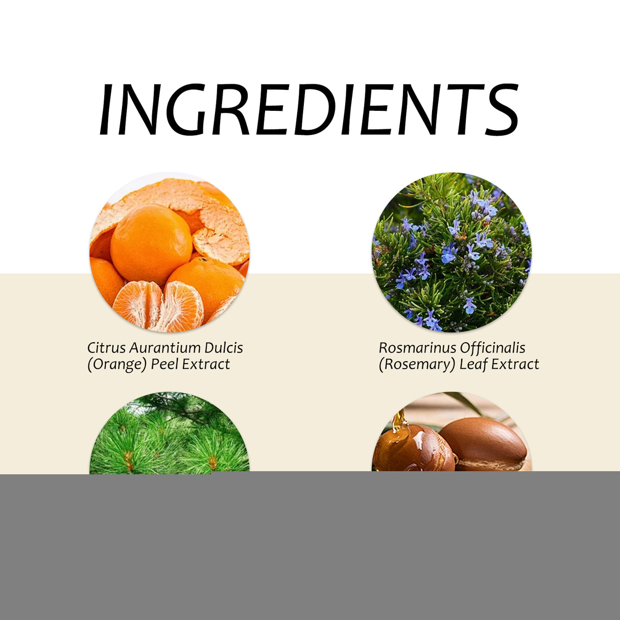 Nourishing Hand Sanitizer - V.I.P Digital Presence