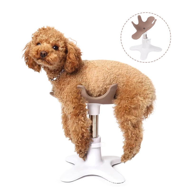 Pet Shower Grooming Table, Dog Fixing Rack & Bathing Hair Dryer Bracket for Small & Medium Pets - V.I.P Digital Presence