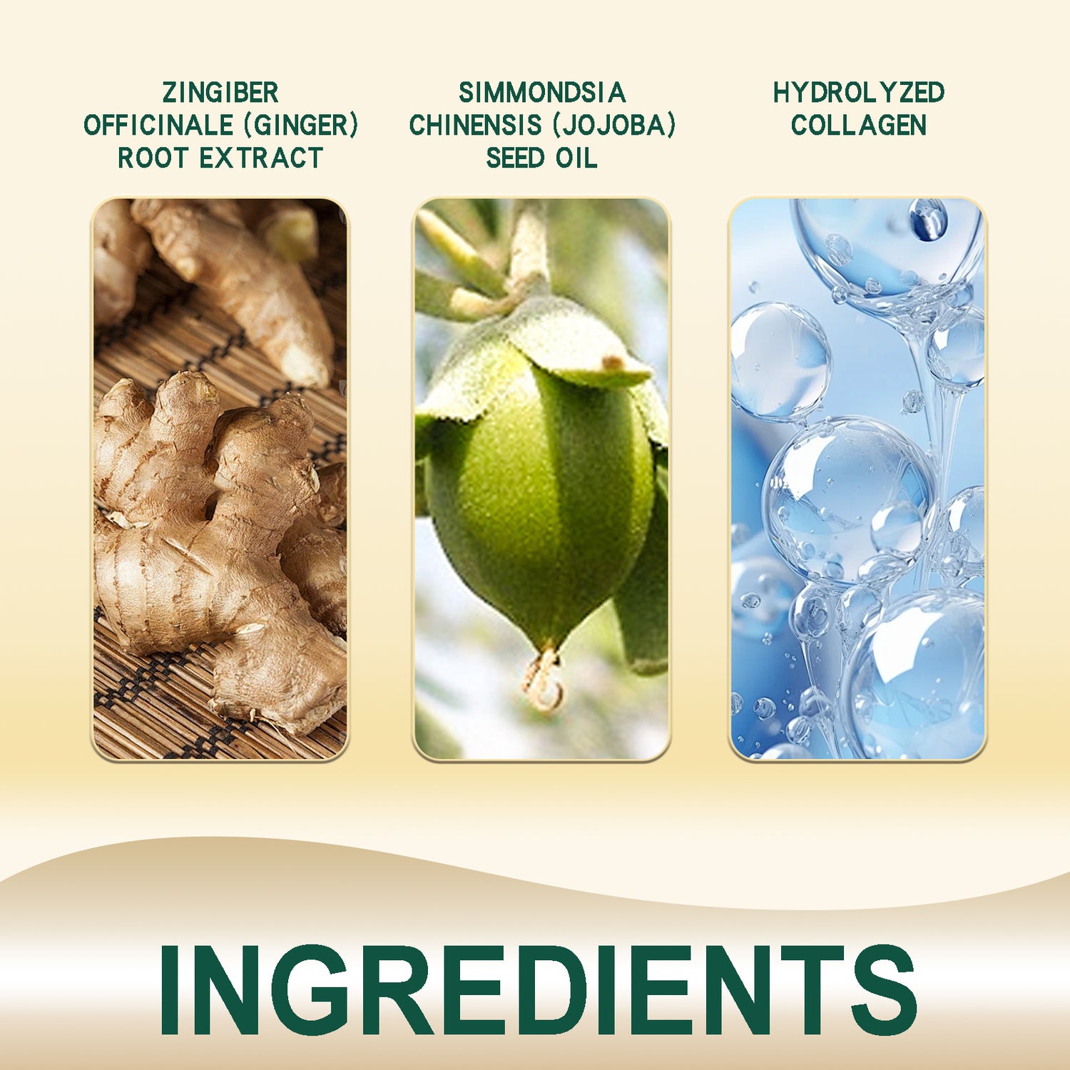 Ginger Hair Ointment, Care For Hair Follicles, Strengthen Hair, Moisturize Hair, Prevent Hair Breakage And Dense Hair Care Cream - V.I.P Digital Presence