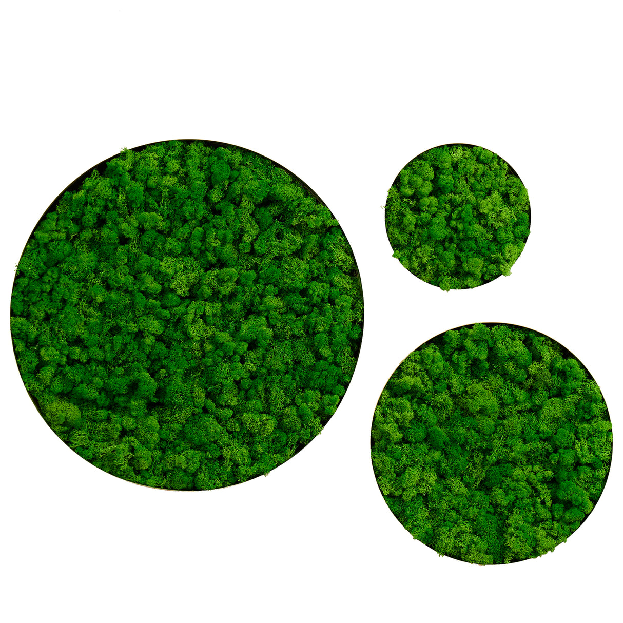 Round Framed Moss Wall Decor, only the Large
