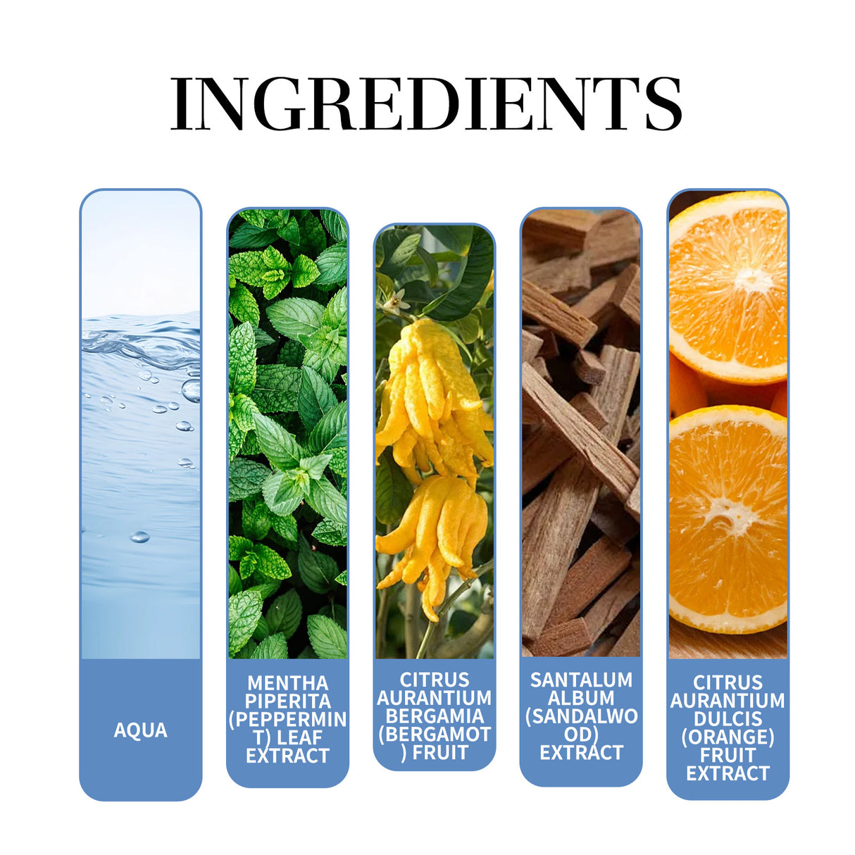 Mint Perfume Fresh And Elegant Natural Charming Aroma Lasting Fragrance Conditioning Mint Perfume - V.I.P Digital Presence