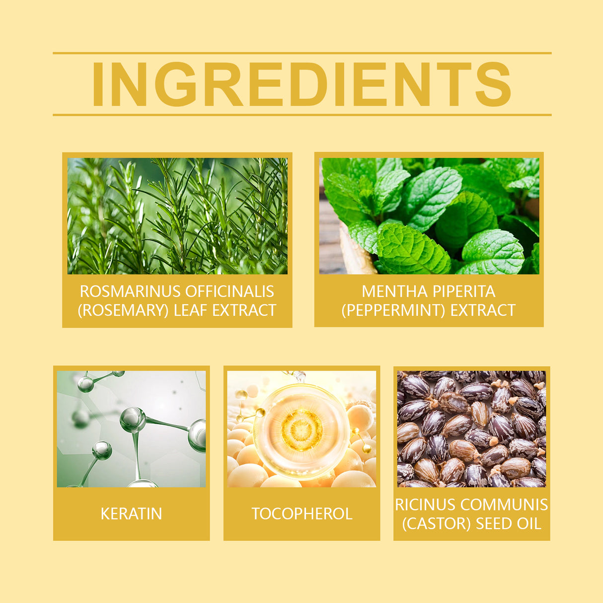 Rosemary Mint Hair Care Oil Hydrating Hair Care Soft Nourishing Hydrating Daily Massage Hair Care Oil - V.I.P Digital Presence