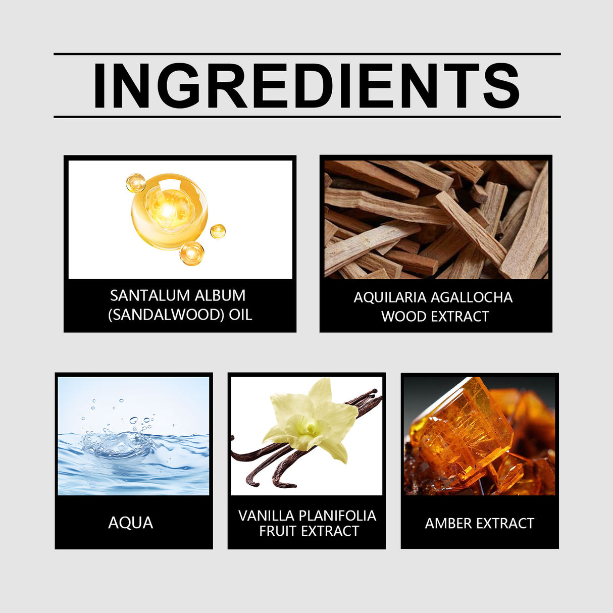 Winter Perfume Warm Vanilla Natural Fresh Light Fragrance Portable Lasting Fragrance Exudes Charm Perfume - V.I.P Digital Presence