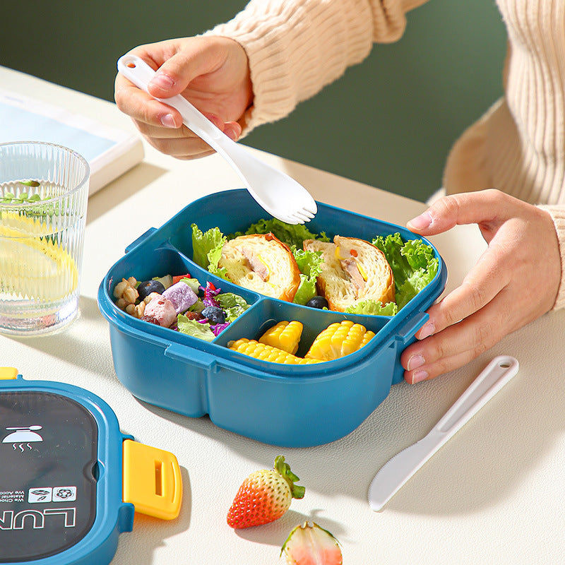 Classic simple microwaveable portable salad box lunch box with cutlery - V.I.P Digital Presence