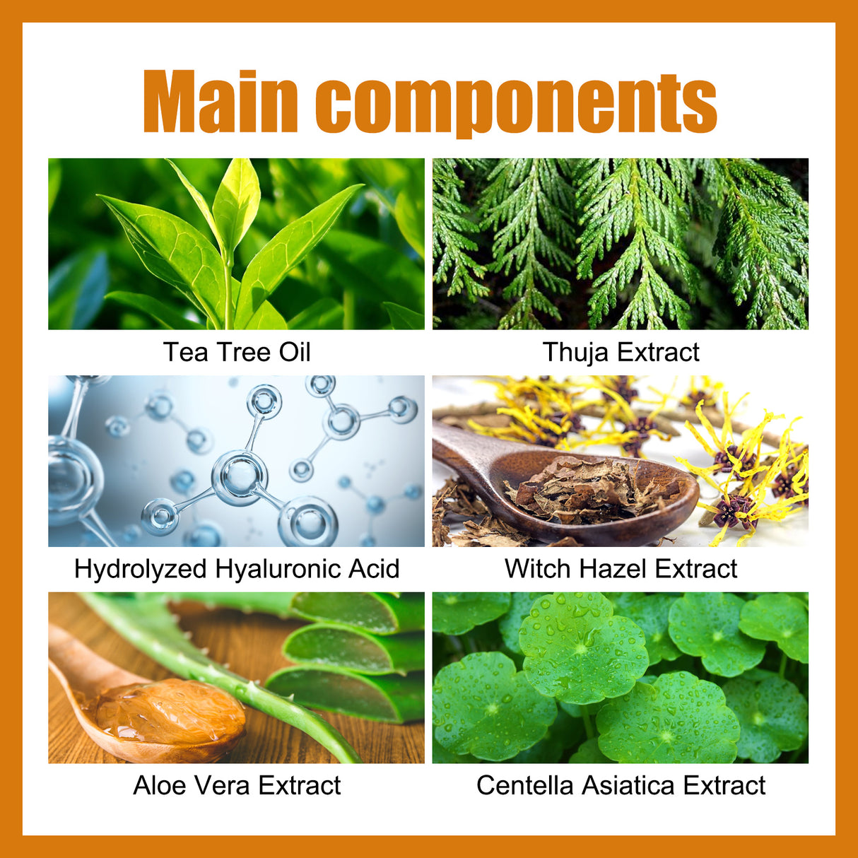 Mole Label Repair Patch, Repair Neck Flesh Grain Filamentary Wart Corns Skin Cleaning Gram Wart Patch - V.I.P Digital Presence