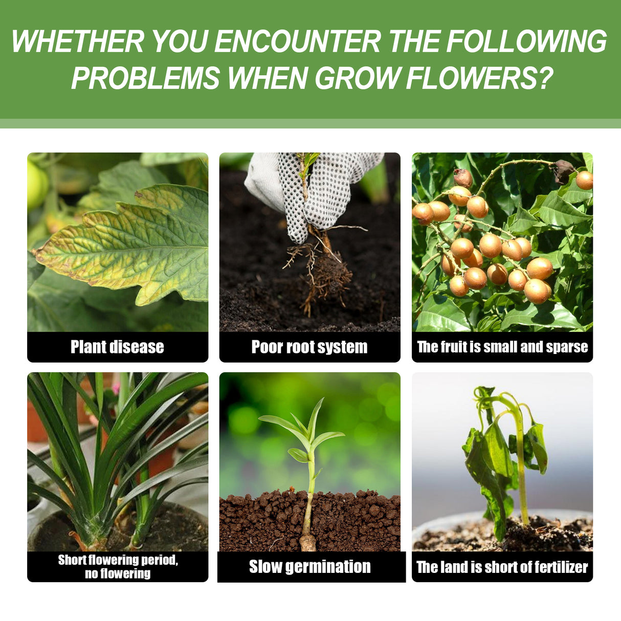 Plant Nutrient, Flower Pot Lawn Green Leaf Plant Fertilizer Root Growth Nutrient - V.I.P Digital Presence