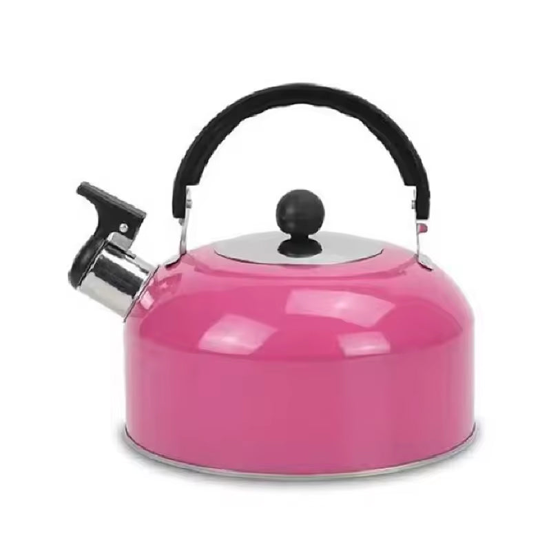 A 3L stainless - steel kettle for gas heating. It features a whistle and a comfortable handle, suitable for cooking and tea. - V.I.P Digital Presence