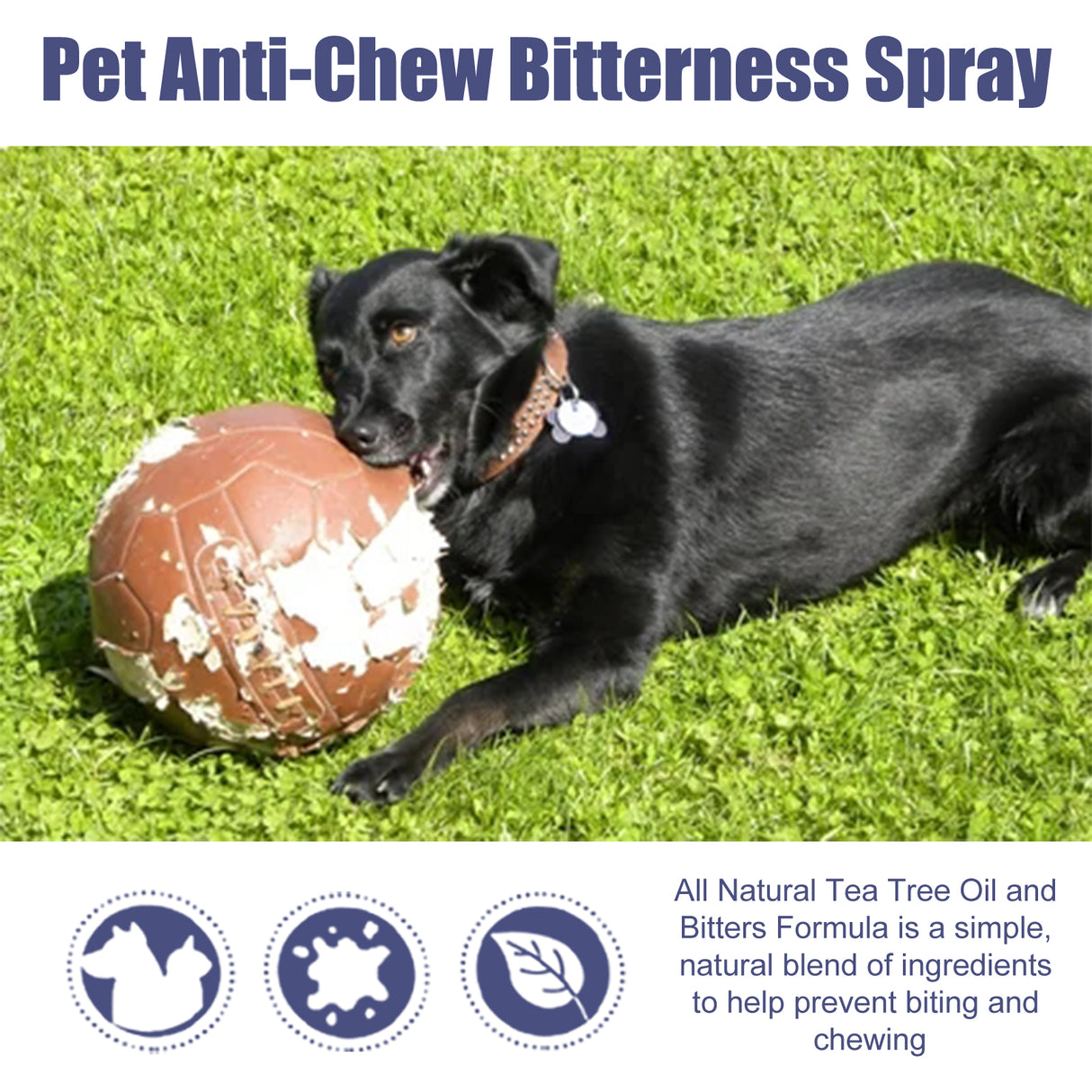 Pet Bitter Anti-Biting Spray, Prevent Dogs Chewing Table And Chair Legs, Scratching Sofa Spray - V.I.P Digital Presence