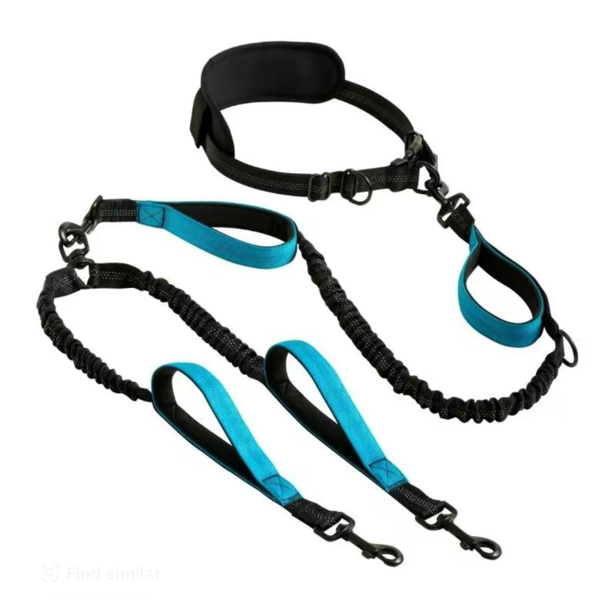 TwinPaw Retract Leash