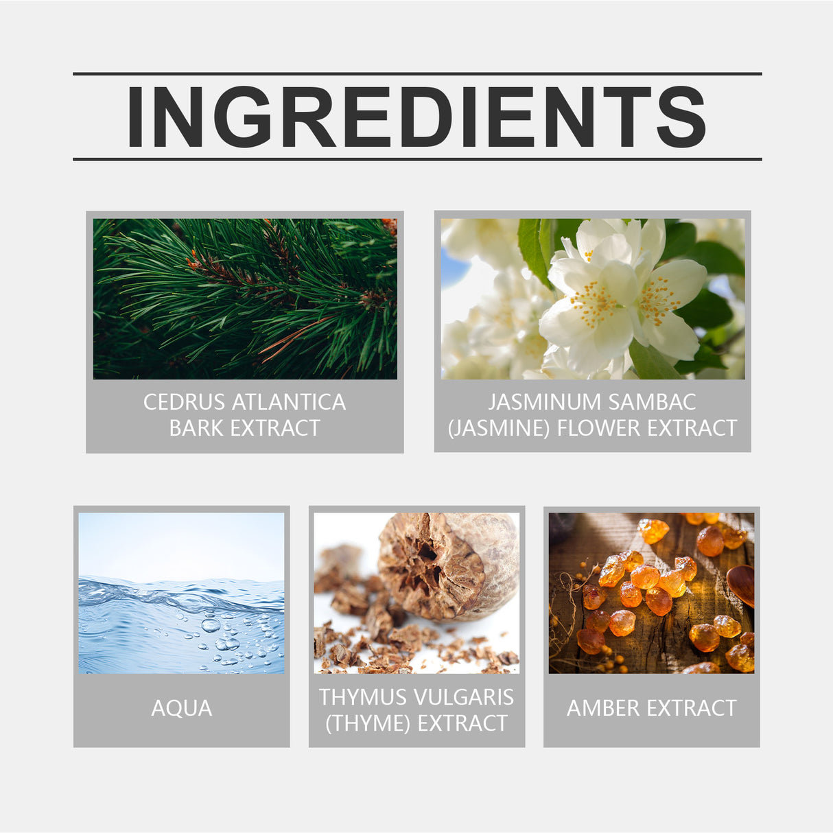 Eau De Toilette, Warm Wood Scent Charming Floral Fragrance Fresh Natural Fragrance Fragrance Lasting Fragrance - V.I.P Digital Presence