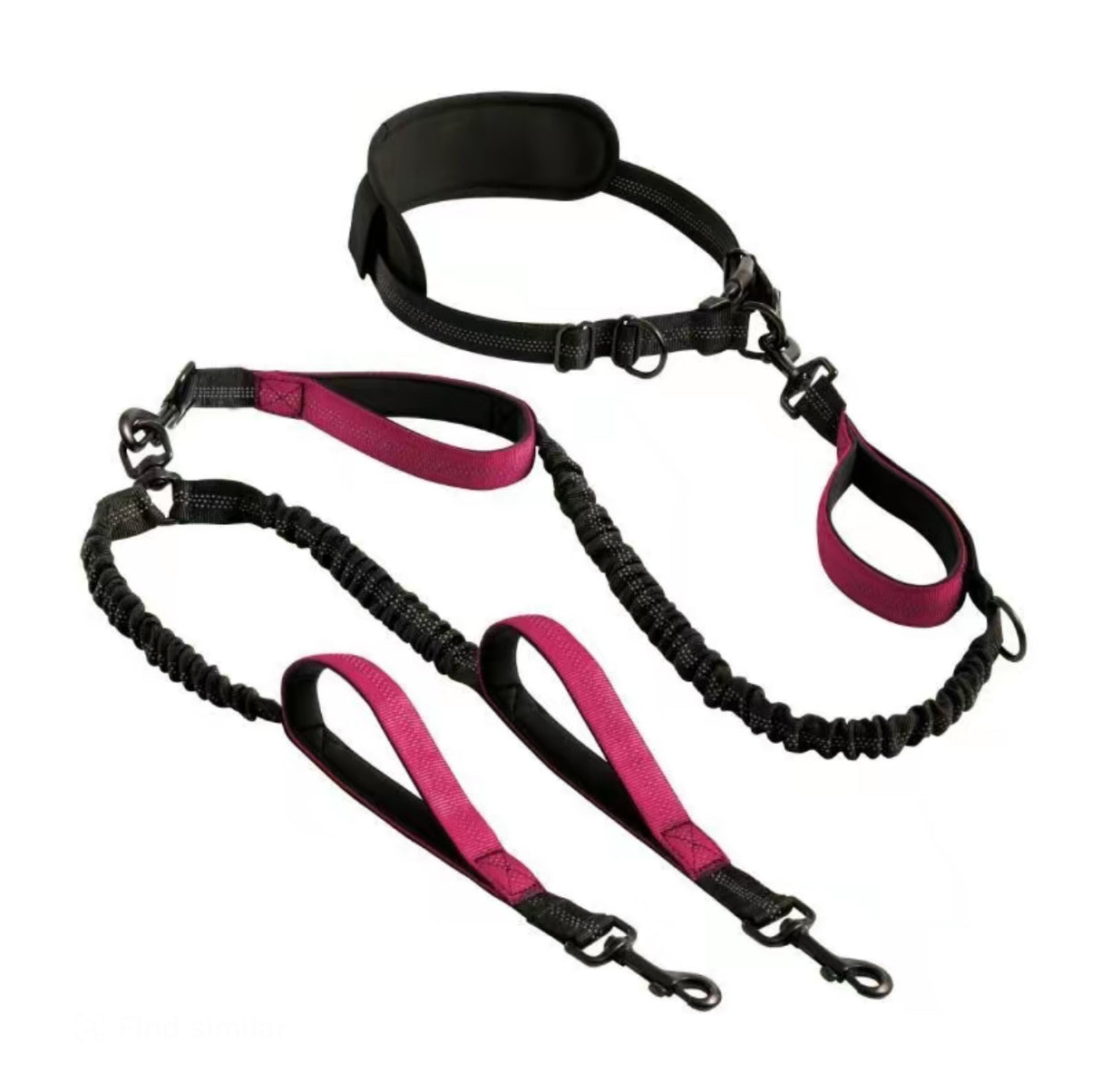 TwinPaw Retract Leash