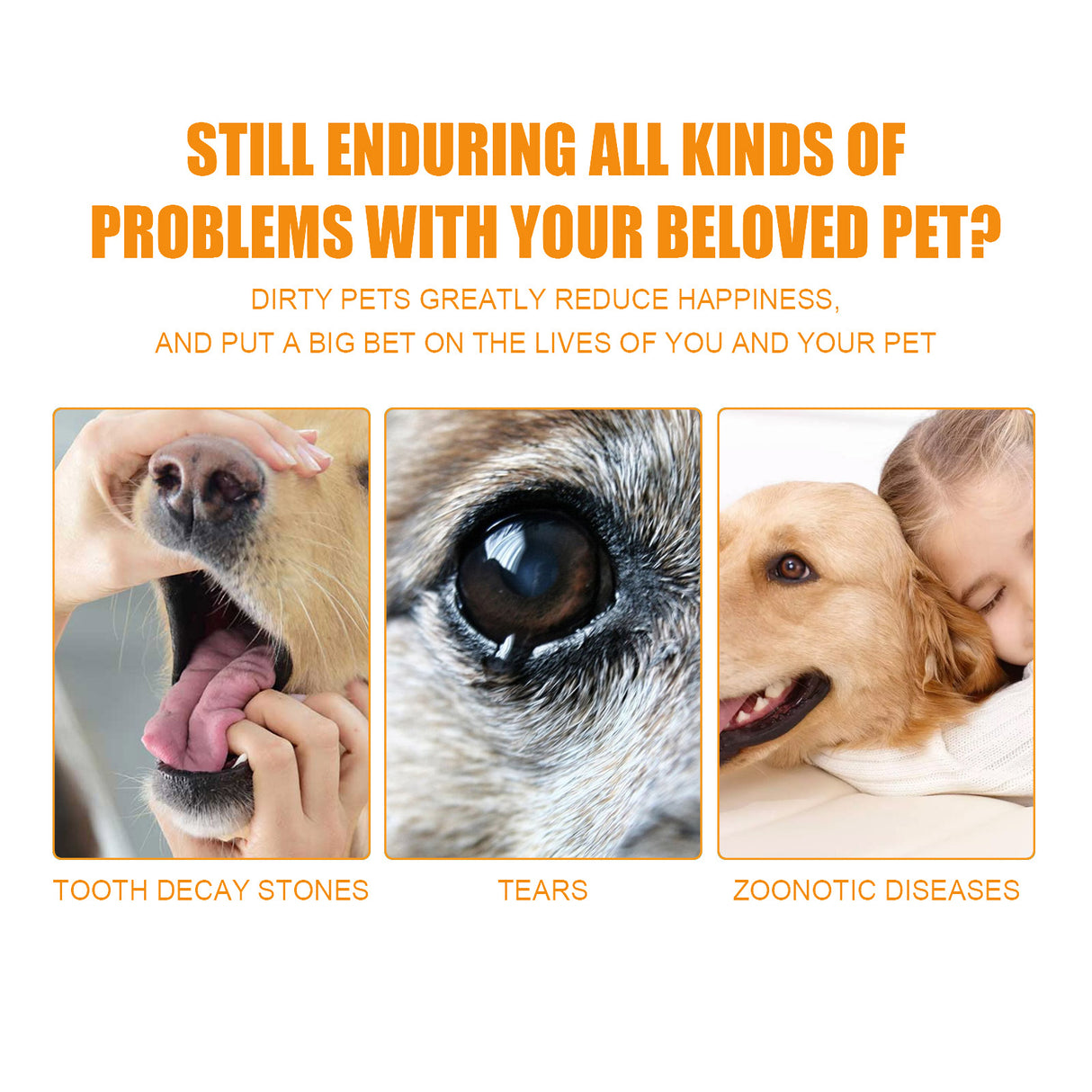 Pet Teeth Cleaning, Dog Cat Teeth Clean Tartar Stones Fresh Breath - V.I.P Digital Presence
