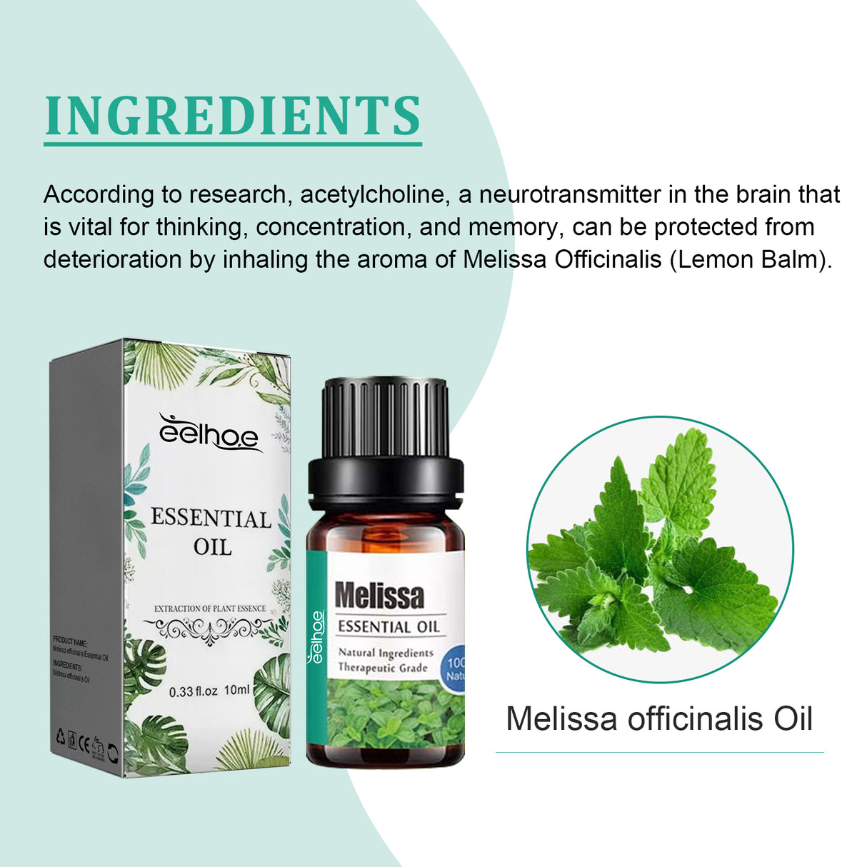 Melissa Officinalis Essential Oil, Moisturizing Massage Skin Body Care Improve Memory Melissa Officinalis Essence - V.I.P Digital Presence