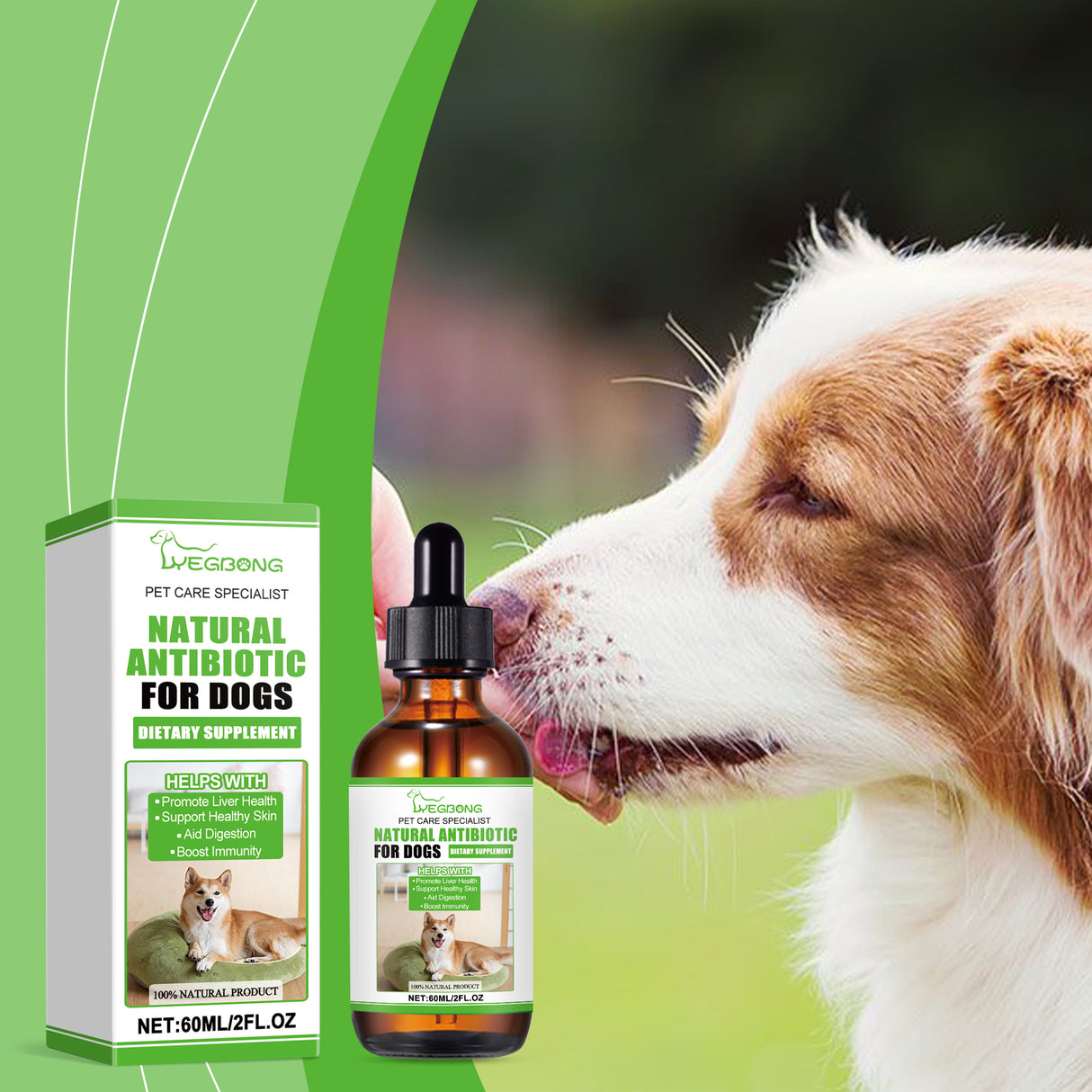 Dietary Supplements For Dogs, To Promote Pet Health Pet Dogs Special Dietary Supplements - V.I.P Digital Presence