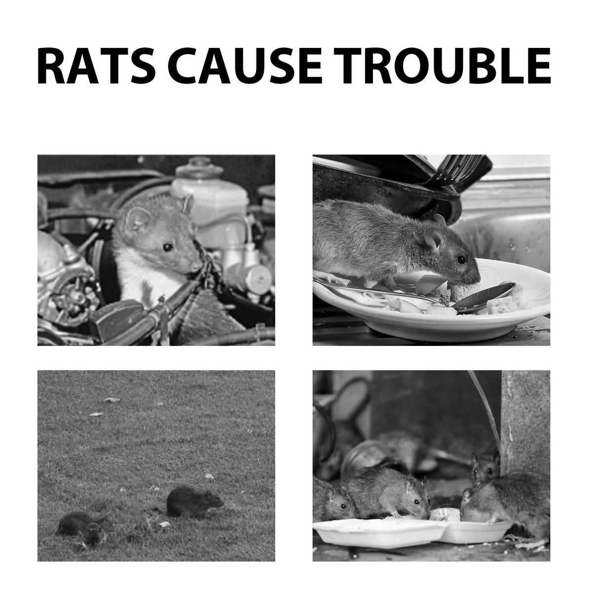 Mouse Repeller, Car Engine Outdoor Home Indoor Mouse Repellent Mouse Repellent Pill - V.I.P Digital Presence