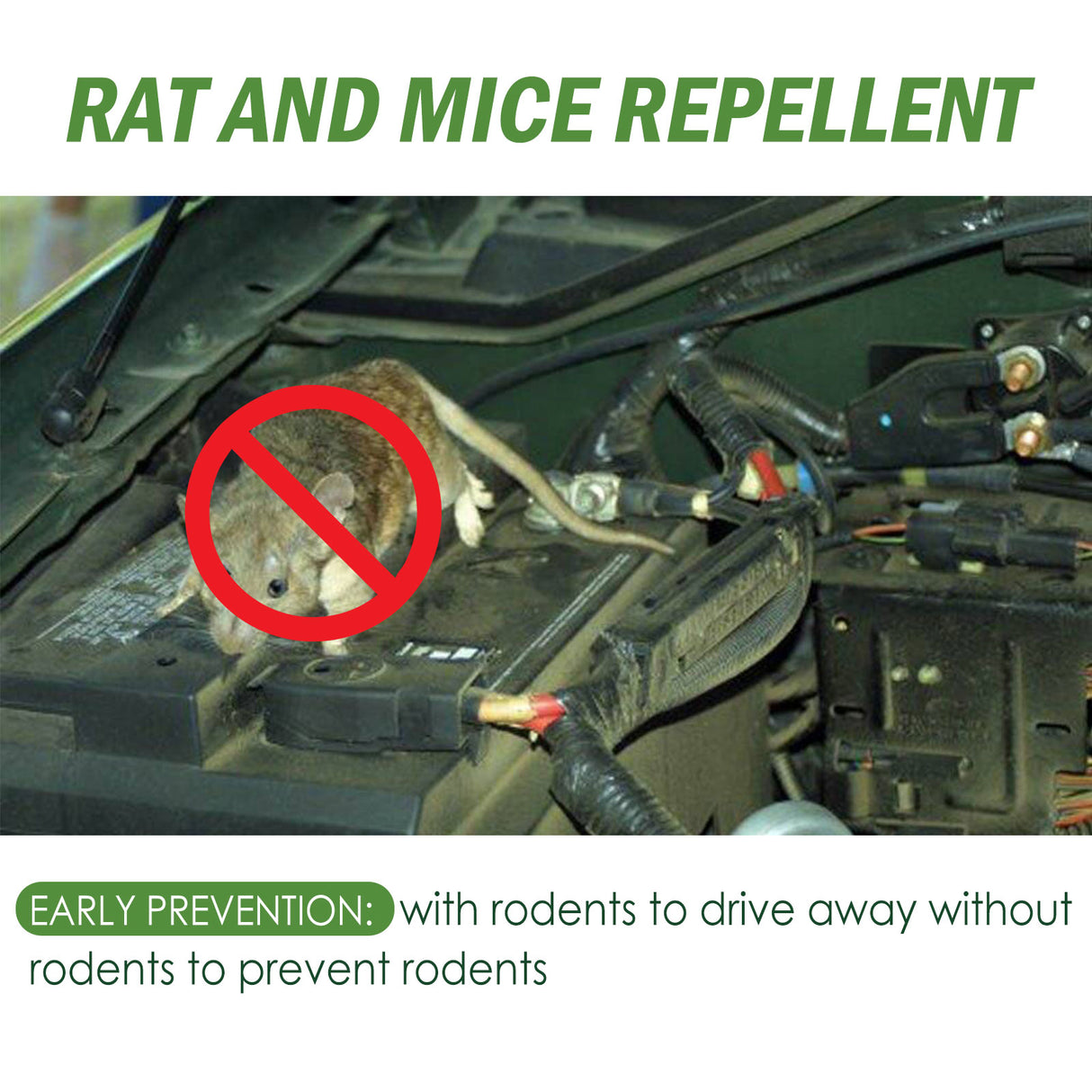 Rat Repellent Pill, Car Engine Outdoor Home Indoor Rat Repellent Pill - V.I.P Digital Presence