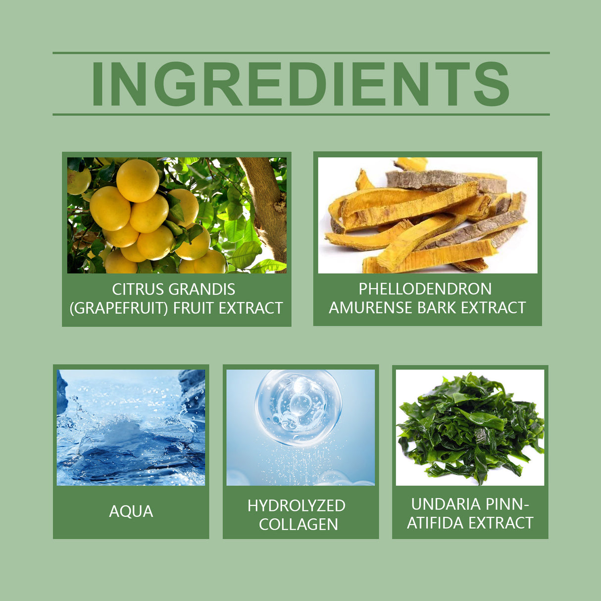 Oceaura Collagen Body Lotion Keeps Moisture In And Nourishes The Skin - V.I.P Digital Presence