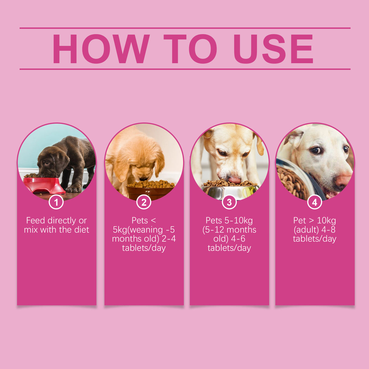 Dog Probiotic Tablets To Improve Intestinal Health, Balance Digestion And Absorption Of Pet Nutritional Supplements - V.I.P Digital Presence