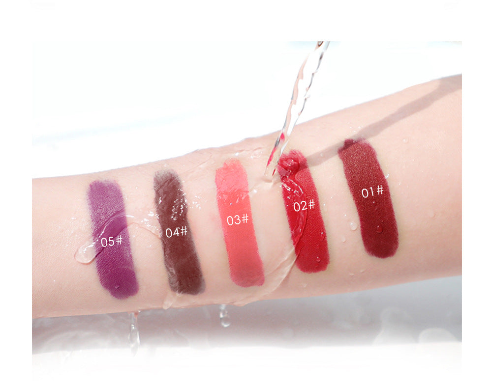 Niceface New Matte Non-Stick Cup Lip Glaze Set With Lip Plumper Texture Lip Gloss - V.I.P Digital Presence