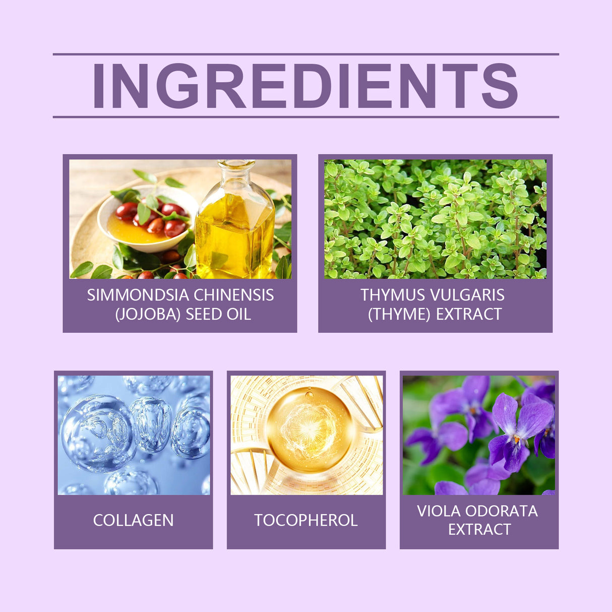 Nourishing Purple Conditioner Hair Care Soft Shine Improve Dry Hair Color Long Lasting Conditioner - V.I.P Digital Presence