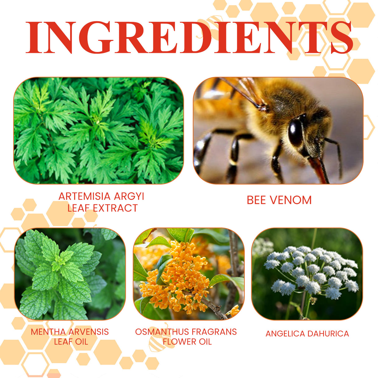 Knee Care Patch, Bee Venom Knee Joint Patch To Relieve Knee Discomfort Massage Care Patch - V.I.P Digital Presence