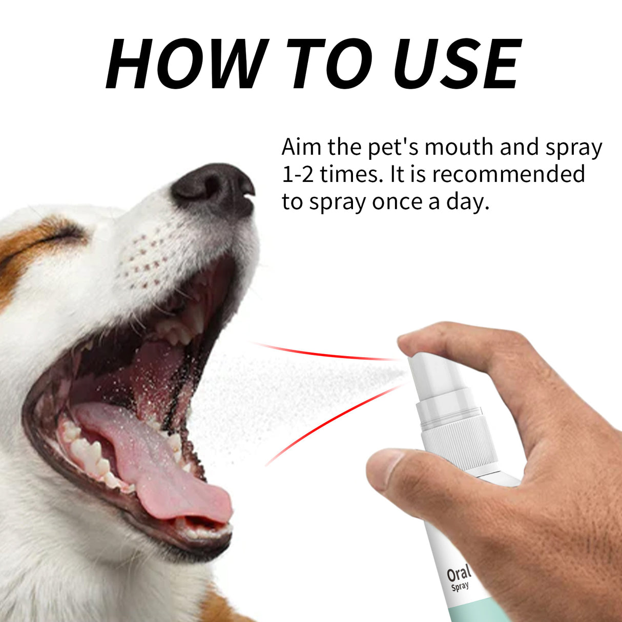 Pet Mint Fresh Breath Spray, Clean Your Dog's Bad Breath Fresh Breath Care - V.I.P Digital Presence