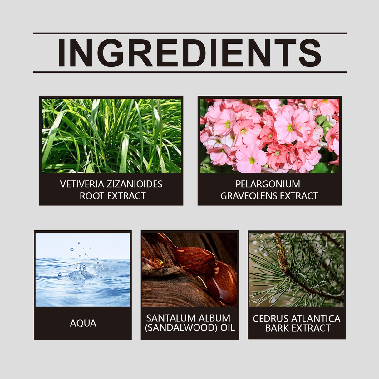 Geranium Inspired Perfume Unique Floral Fragrance Light Fragrance Light Fragrance Elegant Hormonal Fragrance Niche Perfume - V.I.P Digital Presence