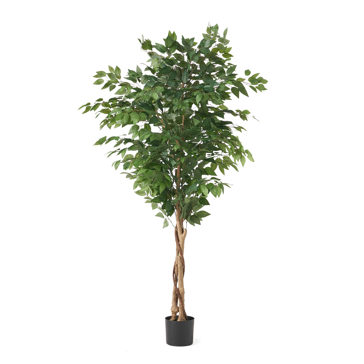 180CM ARTIFICIAL FICUS TREE - V.I.P Digital Presence