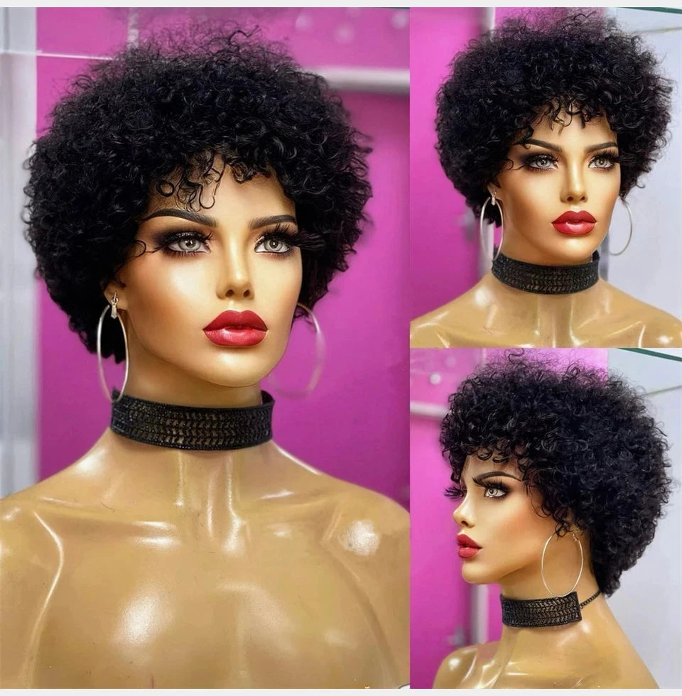 Large Bouncy Afro Kinky Curly Wigs For Black Women Glueless Pre Plucked Machine Made Wig Brazilian Virgin Remy Human Hair Wigs - V.I.P Digital Presence