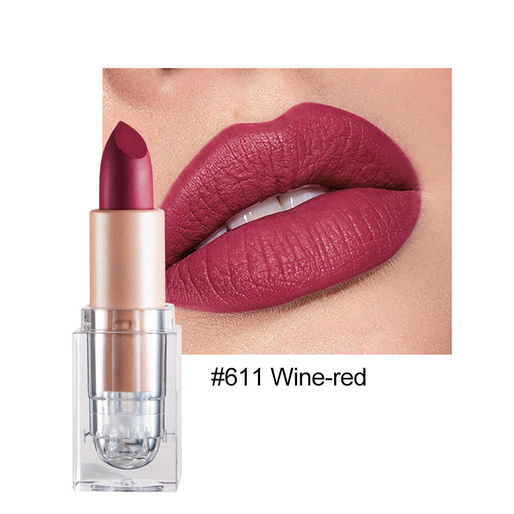 HANDAIYAN Matte Lipstick 12 Color Lipstick Not Easy To Fade Nude Pink Lipstick - V.I.P Digital Presence