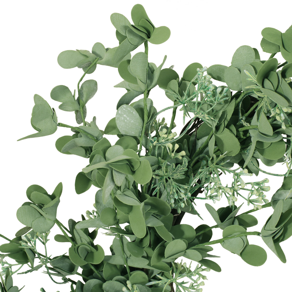 27" OXALIS CORNICULATA WREATH - V.I.P Digital Presence