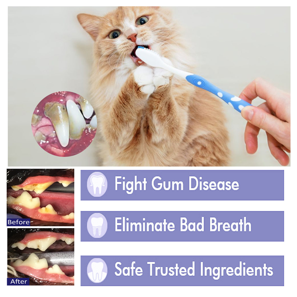 Pet V34 Toothpaste, Pet Clean Bad Breath Tartar Care Gum Care Toothpaste - V.I.P Digital Presence