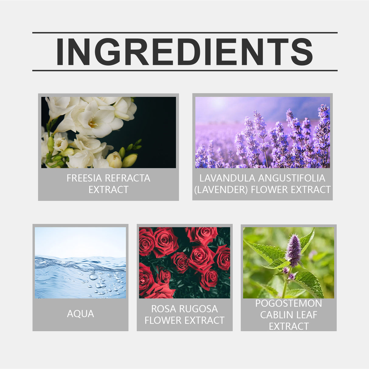 Eau De Toilette, Warm Wood Scent Charming Floral Fragrance Fresh Natural Fragrance Fragrance Lasting Fragrance - V.I.P Digital Presence