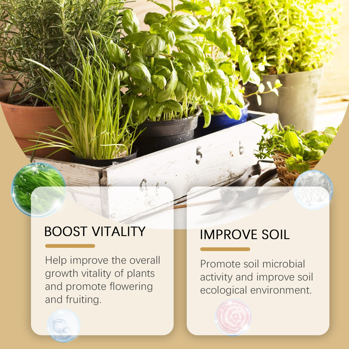 Moonspry Plant Root Powder, Garden Flower Plant Root Supplement Nutrition To Improve Soil Plant Nutrition Powder - V.I.P Digital Presence