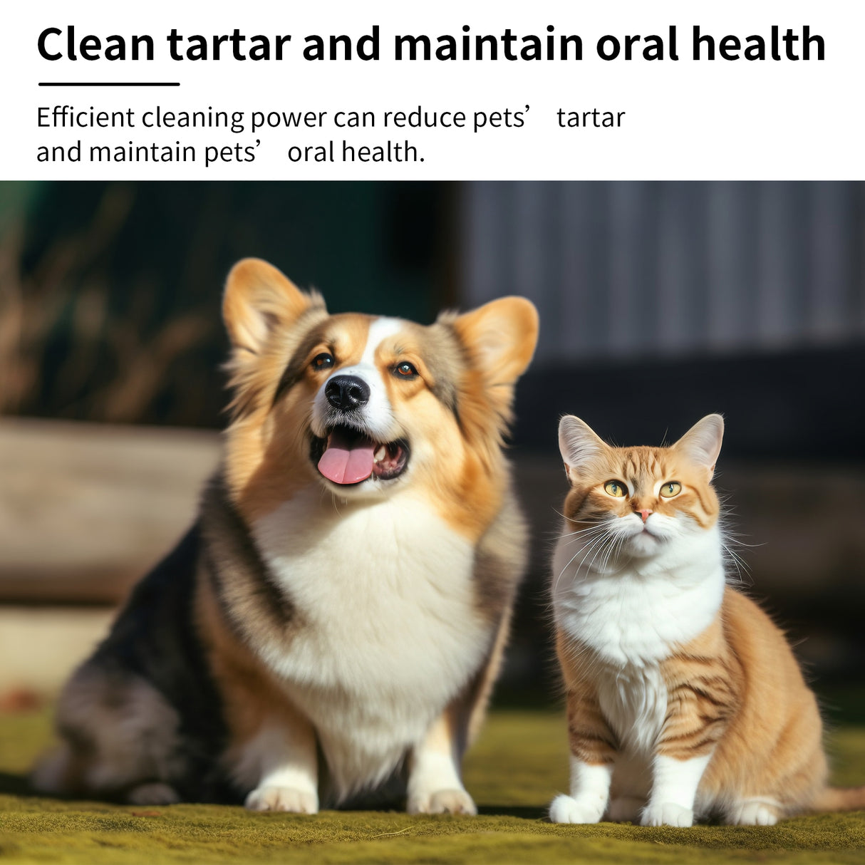 Pet Mint Fresh Breath Spray, Clean Your Dog's Bad Breath Fresh Breath Care - V.I.P Digital Presence