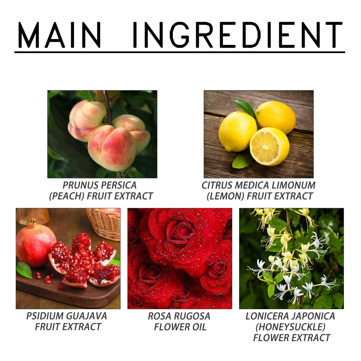 Pheromone Infused Perfume, Release Pheromones For Couples Dating To Exude Attractive Fragrances Lasting Fragrance Niche Perfumes - V.I.P Digital Presence