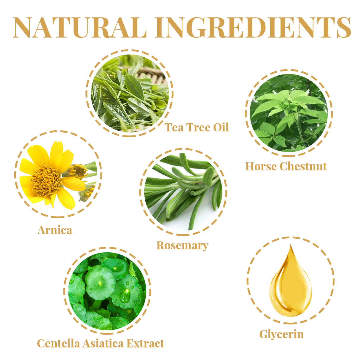 Instant Relief Varicose Vein Herbal Patch, Vein Massage To Relieve Leg Soreness And Swelling Earthworm Leg Care Patch - V.I.P Digital Presence