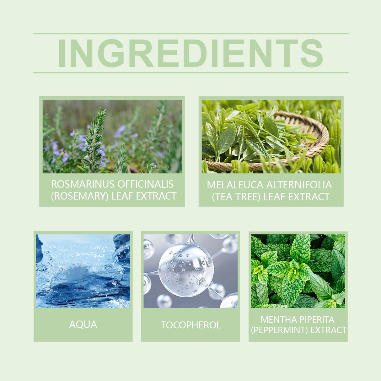 Rosemary Hair Treatment Spray, Gentle Nourishing Soft Shine Strong Hair Treatment Spray - V.I.P Digital Presence