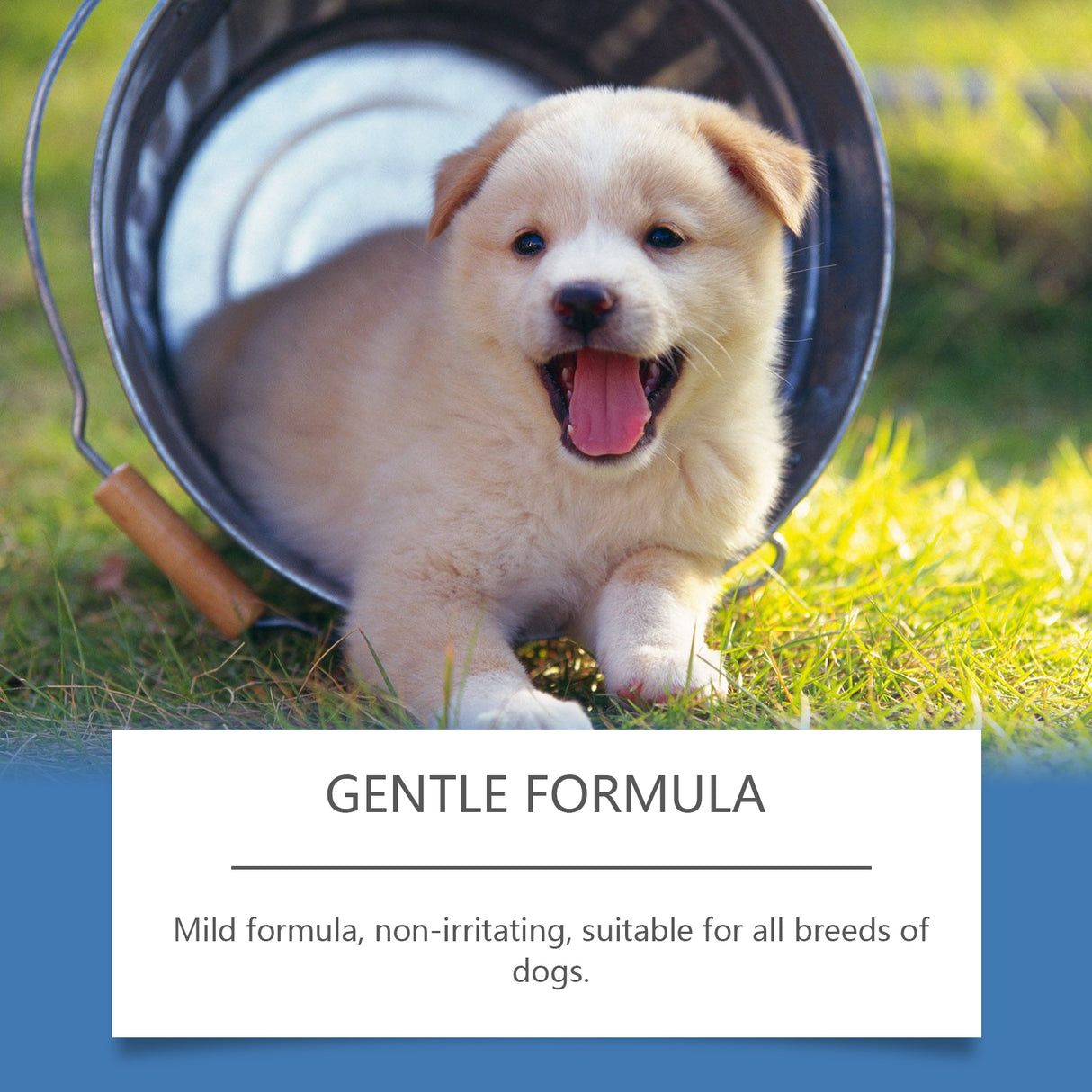 Pet Fur Care Spray Pet cat and dog fur gentle cleaning care fur Bright shine - V.I.P Digital Presence