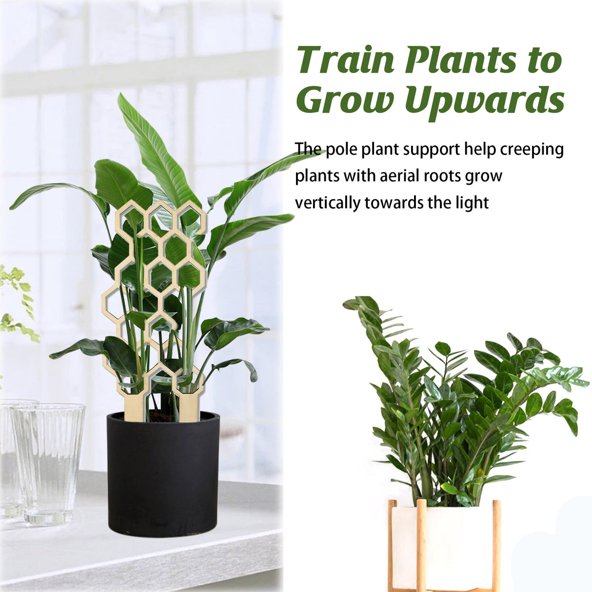 Garden Plant Trellis Home Wooden Pot Climbing Pergola Balcony Decoration Support Flower Arrangement Supports - V.I.P Digital Presence