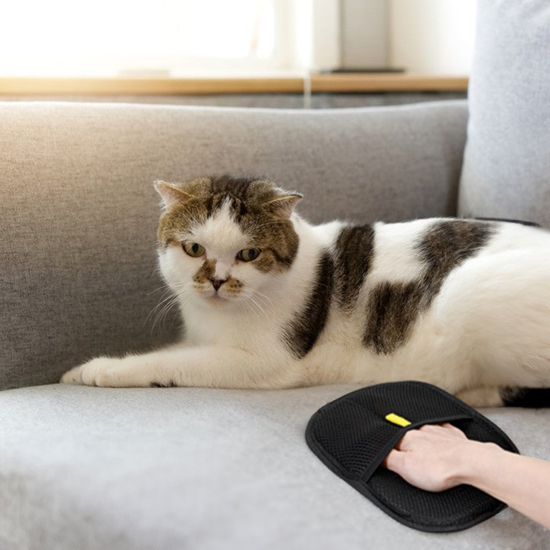 Static Pet Hair Removal Gloves - 3-in-1 Grooming, Deshedding & Multi-Surface Hair Remover for Dogs & Cats - V.I.P Digital Presence