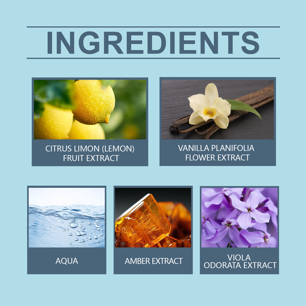 Fresh Amber Wood Perfume, Natural Fresh Lasting Fragrance Charm Amber Fragrance Date Mild Light Elegant Perfume - V.I.P Digital Presence