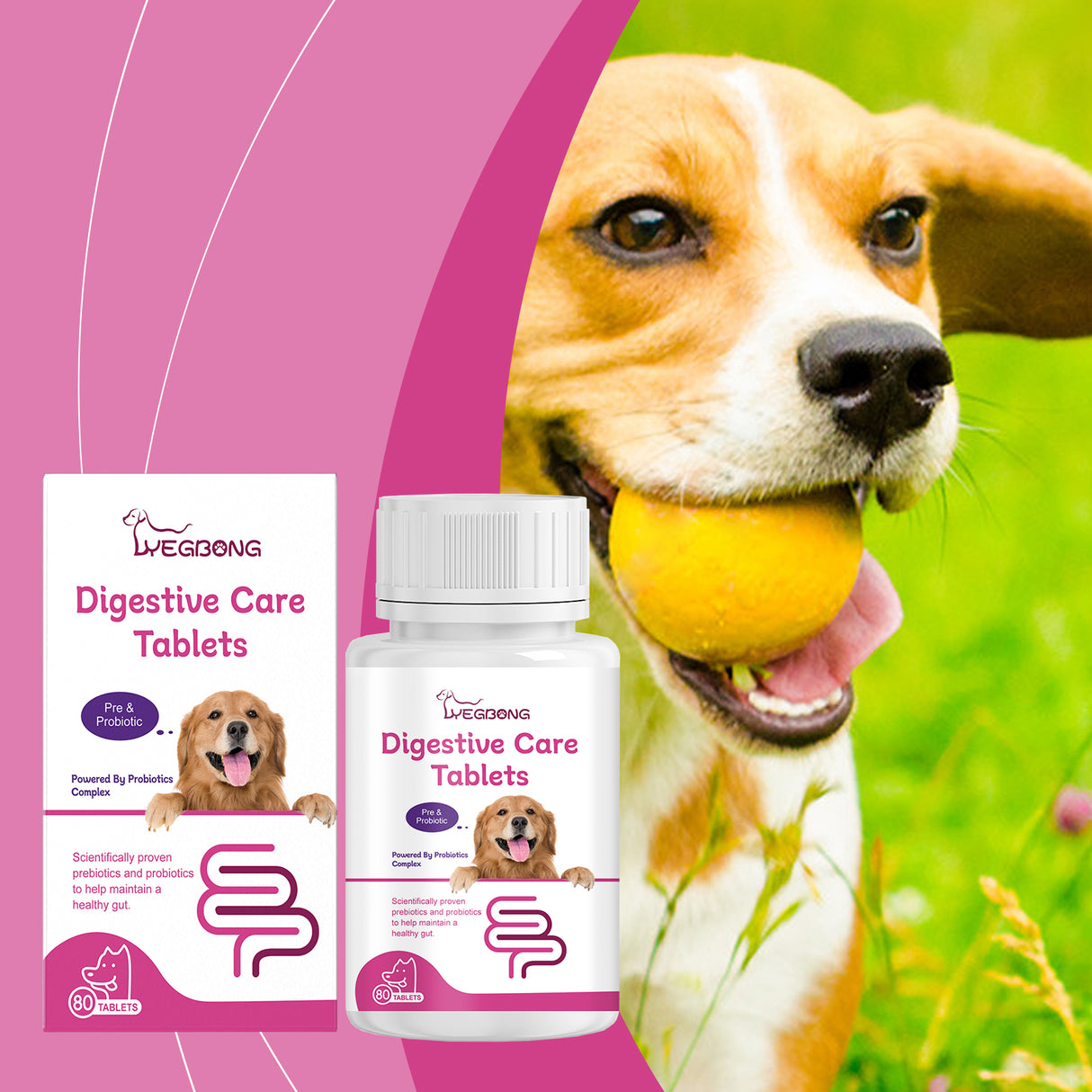 Dog Probiotic Tablets To Improve Intestinal Health, Balance Digestion And Absorption Of Pet Nutritional Supplements - V.I.P Digital Presence