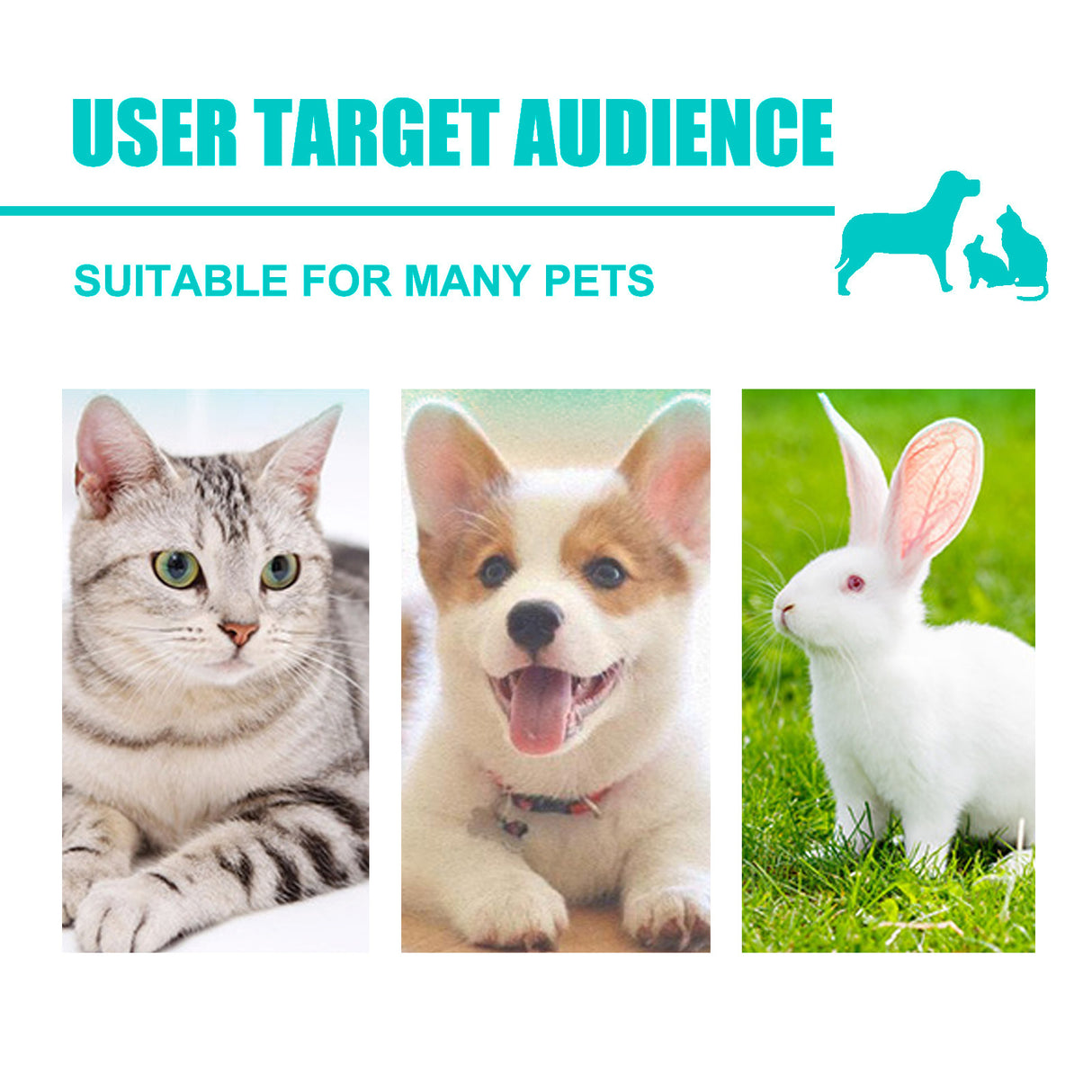 Pet Ear Cleaner Finger Wipes, Gently Clean Pet Ear Mites Ear Dirt Eye Dirt Feet Deodorize To Remove Odor - V.I.P Digital Presence