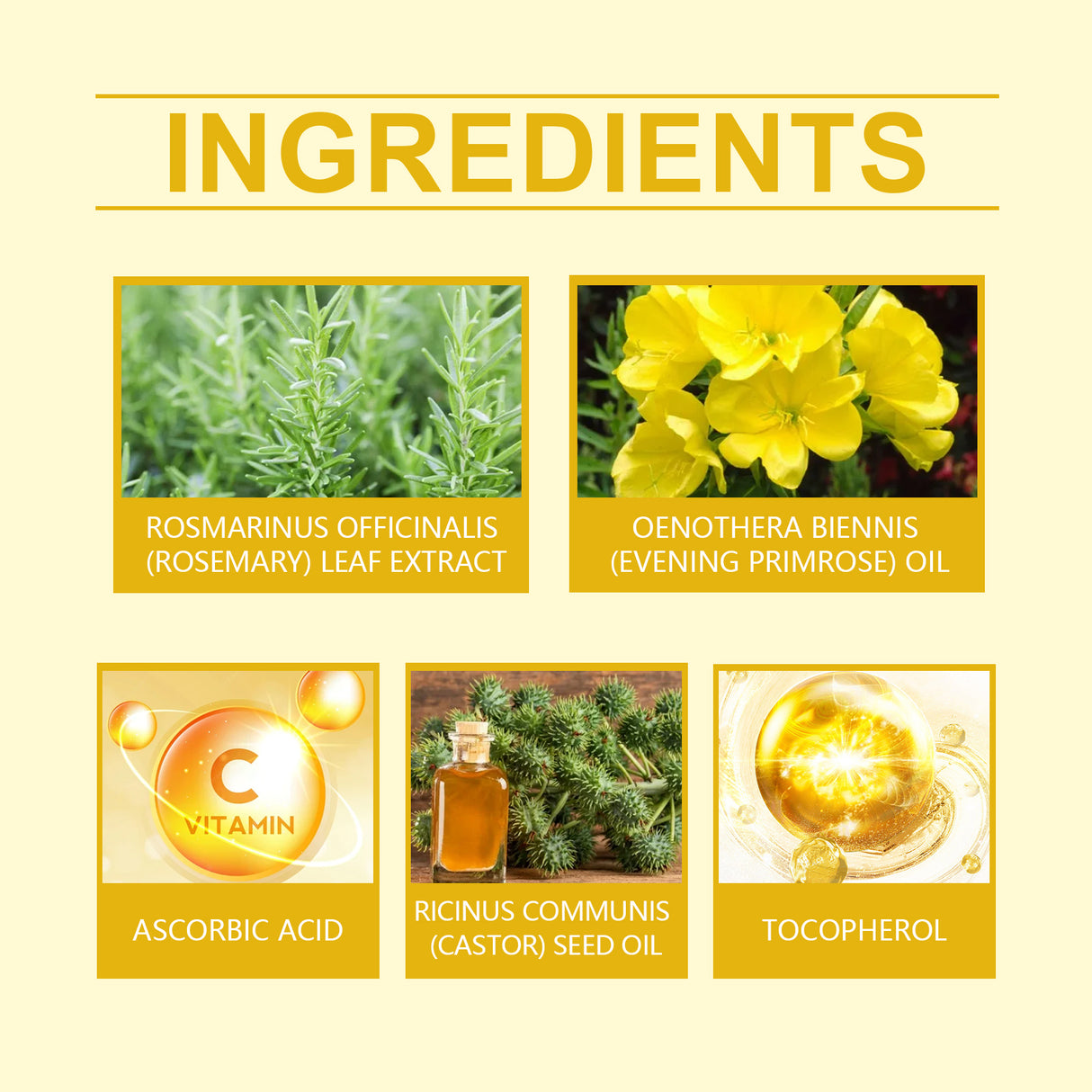 Woodsleep Evening Primrose Care Oil Hair Care Hair Care Oil - V.I.P Digital Presence