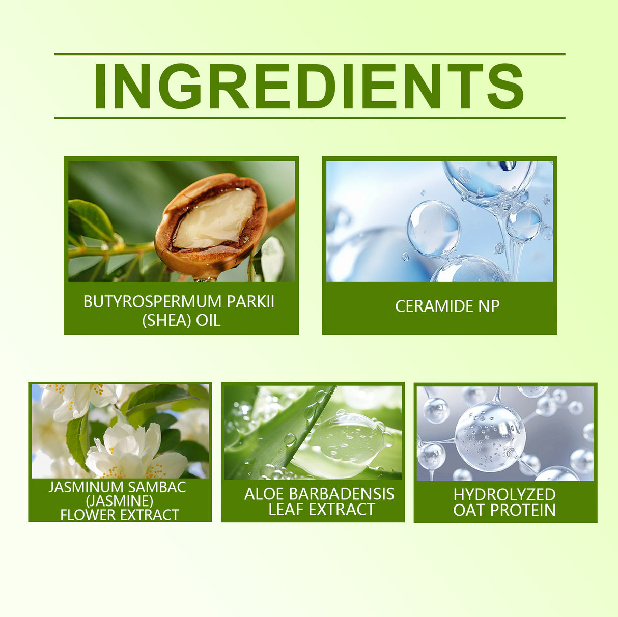 Jasmine Moisturizing Body Lotion