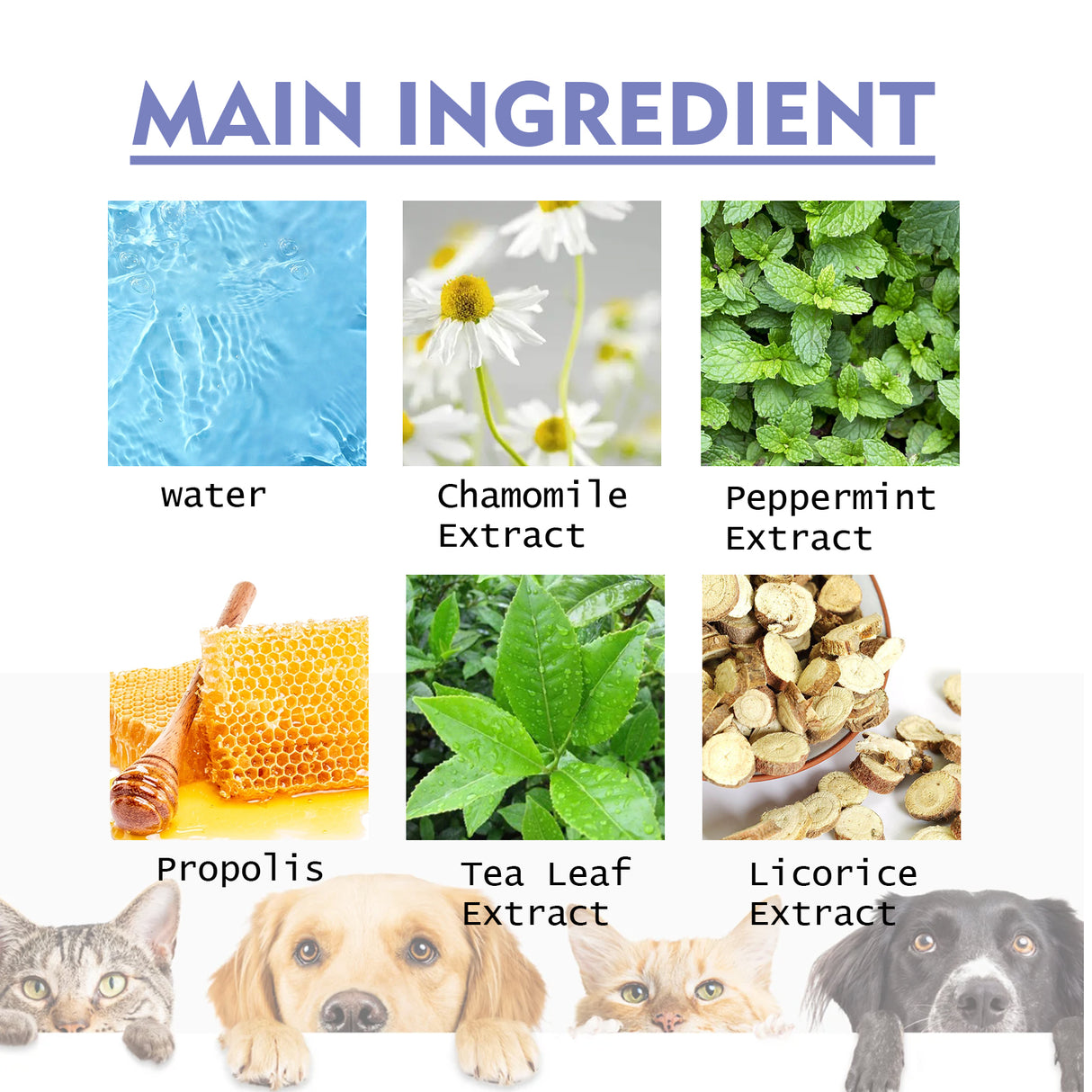 Dog And Cat Tooth Cleaning Spray, Pet Mouth Cleaning Breath Fresh Deodorizing Cleaning Spray - V.I.P Digital Presence