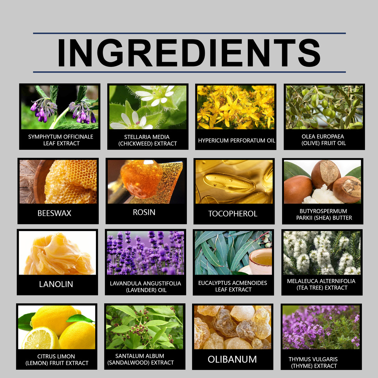 Skin Care Cream Moisturizes And Nourishes Body Skin With A Moisturizing Massage Treatment Cream - V.I.P Digital Presence