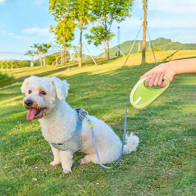 3m Pet Leash For Small Dogs Cat Automatic Retractable Nylon Durable Walking Lead Puppy Outdoor Travel Pet Products 1pcs - V.I.P Digital Presence